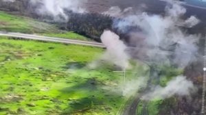 ГРАДы пропалывают лесопосадку от укропа