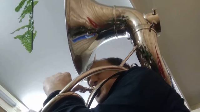 207 Trombone in the City смотреть онлайн