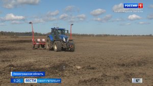 В Ленинградской области идёт посевная кампания