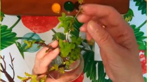 Рисование во второй младшей группе. Тема: "Весеннее дерево"