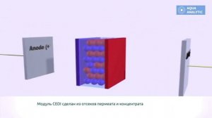 Как работает электродеионизация Принцип и технология работы электродеионизации воды IONPURE EVOQUA