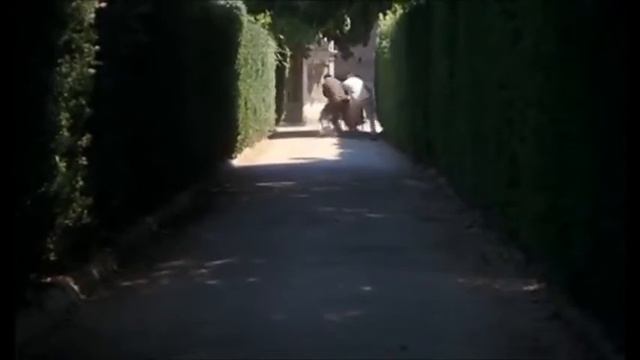 Прогулка с внучкой в парке-Из серии,,Фантоцци" смотреть онлайн