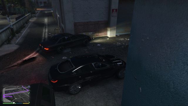 Grand Theft Auto V  - Идиот в машине