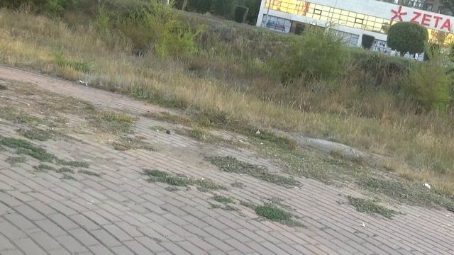 merge(4) смотреть онлайн