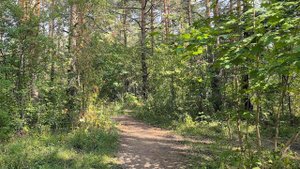 идео в 4K 60 fps  HUAWEI Pura 70 Ultra