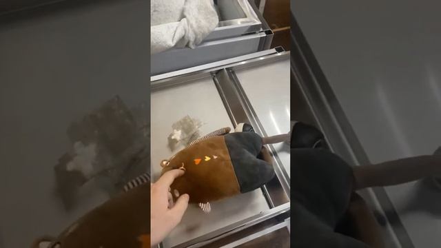 оборудование из нержавеющей стали в России