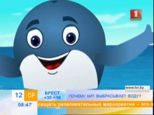 Почему кит выбрасывает воду?