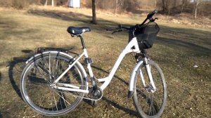 Велосипед с планетарной втулкой Bergamont