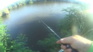 Супер береговая рыбалка! Донской канал