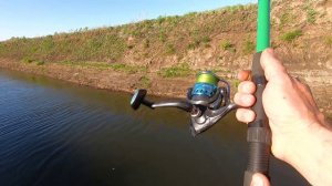 Рыбалка в начале июня. Ловля на донки и на спиннинг в проводку.