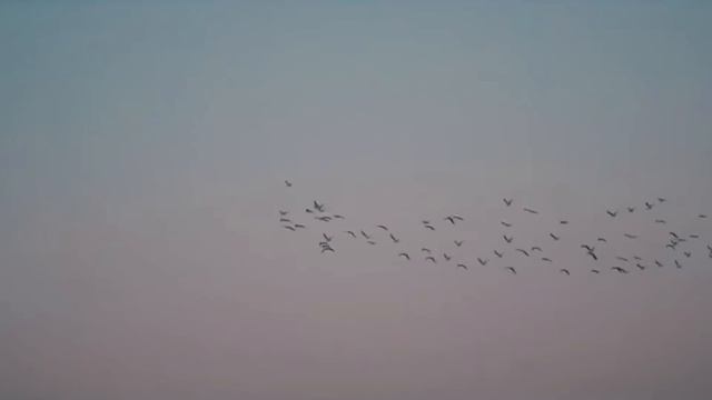 КТО ТАКИЕ БЕРБЕРЫ? ИСТОРИЯ НАРОДА!