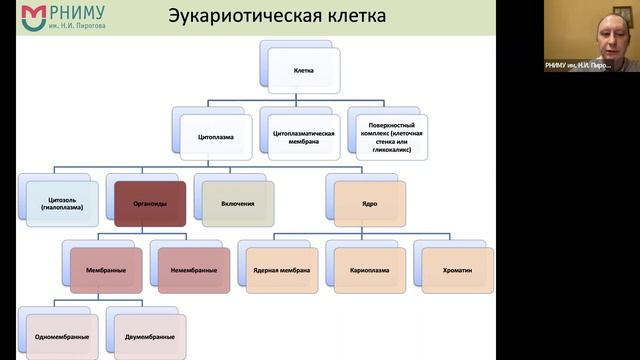 МК теория 1: задания 1-2