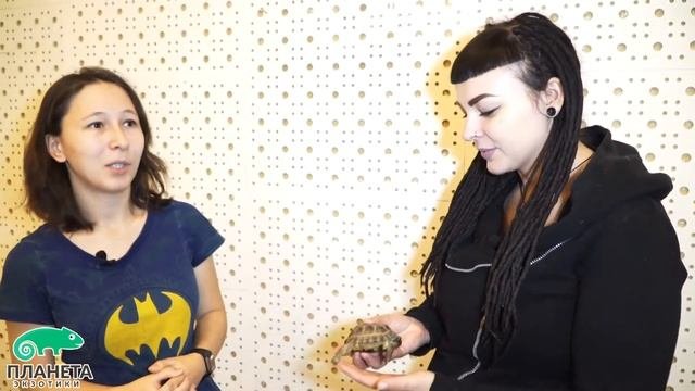 Сколько лет живут среднеазиатские черепахи?