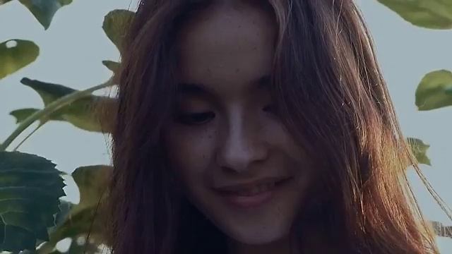 Подсолнуховое поле 29 августа 2016 г. смотреть онлайн