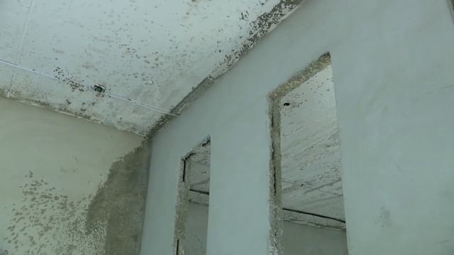 В Губкине идет реконструкция здания для Центра Молодежных инициатив смотреть онлайн