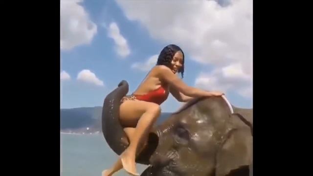 ШОКИРУЮЩЕЕ ВИДЕО СО ВСЕГО ИНТЕРНЕТА!