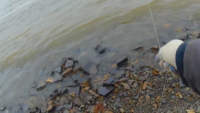 Летняя рыбалка на Амуре. дК рыбачит на резинку. 23 мая 2023. смотреть онлайн