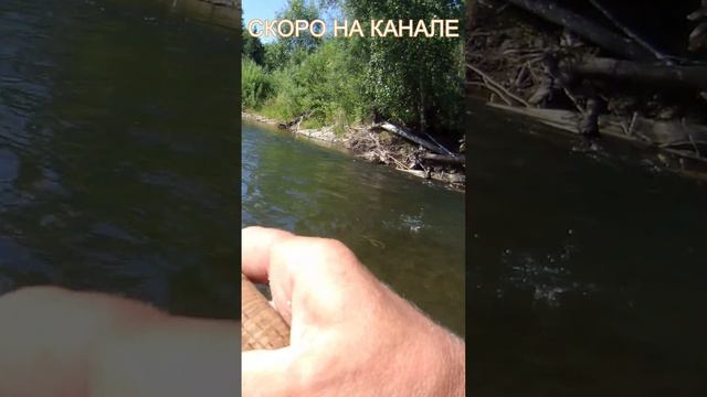 Здесь вода как слеза а хариус как мед...