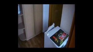 Пансионат «Фламинго» в городе Евпатория (поселок Заозерное) - Однокомнатный номер