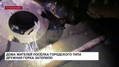 Дома жителей поселка Дружная Горка затопило