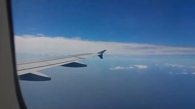 American Airlines flight 860 Philadelphia to Montego Bay Jamaica смотреть онлайн