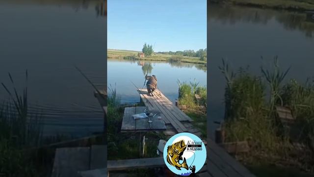 Клёвая рыбалка в Лёдово