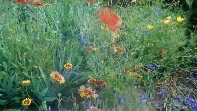 Дачное место смотреть онлайн