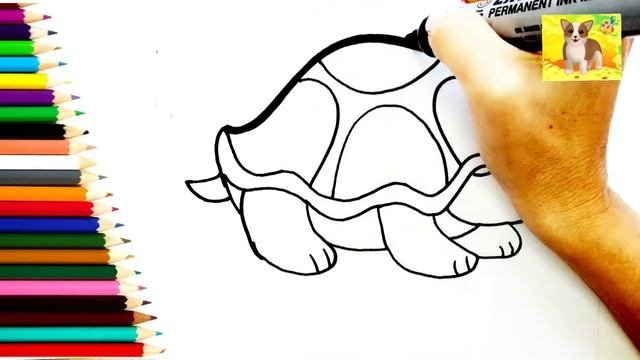 Как нарисовать ЧЕРЕПАХУ.Раскраска для детей ЧЕРЕПАХА#простыерисунки#