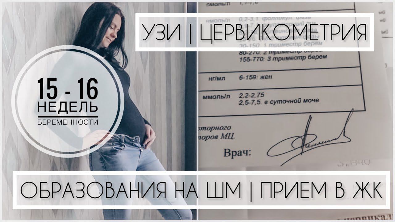 15 -16 недель беременности  гиперкератоз на шейке | Кольпоскопия | Цервикометрия