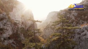 Как Преодолеть Образ Мышления Нищего Навязанный с Детства?! l Откровение НИКОШО и Экхарт Толле