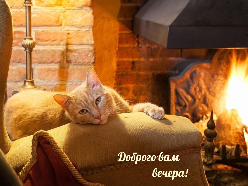 Добрый вечер ! Доброго Приятного вечера! Красивое пожелание доброго вечера