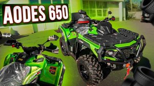 Aodes 650