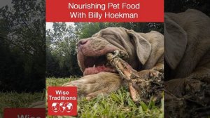 Wise Traditions podcast 290: Nourishing Pet Food