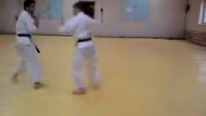 Каратэ Вадо-рю (Karate Wado Ryu)