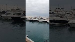 рыбалка в порту Сочи сегодня