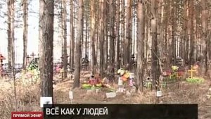 На кладбище Нижнего Тагила обнаружены могилы животных