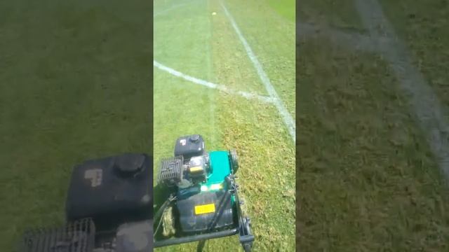 Аэратор- скарификатор в деле смотреть онлайн