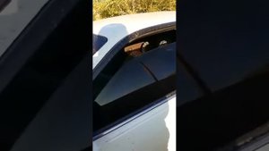 Двойные стекла на марк 2 в 100 кузове