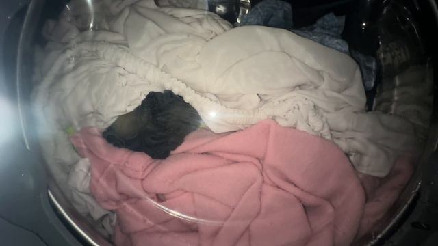 Я В УЖАСЕ! КЛИЕНТКА ВСЕ ИСПОРТИЛА! ЭТА СТИРКА ЗАНЯЛА 2 ЧАСА 😳СМЕШАННЫЕ ТКАНИ 60°/ БЫСТРО 14 смотреть онлайн