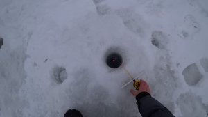 РАЗБУРИЛИ РУЧЕЙ ПО КОЛЕНО А РЫБЫ ПОЛНО! В ТАЙГЕ ИЩЕМ КРУПНЯК ! РЫБАЛКА НА ХАРИУСА ЗИМОЙ ИЗ ПОД ЛЬДА