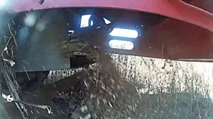 Уборка подсолнечника 2016. Часть 2