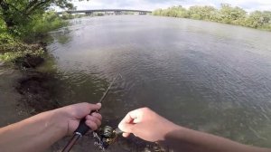 РЫБАЛКА ПОД БУГРИНСКИМ МОСТОМ ВОБЛЕР ДЖИГ ЧЕРВЬ ЗДОРОВЕННЫЙ ЛЕЩ УЛЬТРАЛАЙТ НОВОСИБИРСК.mp4