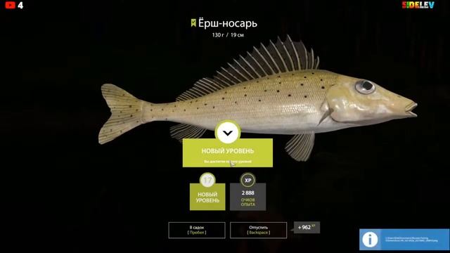Русская Рыбалка 4 — Ёрш носарь на реке Вьюнок 108:123