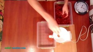 Сушка помидоров «Чумак» – 15 кг. Приготовление томатного порошка.