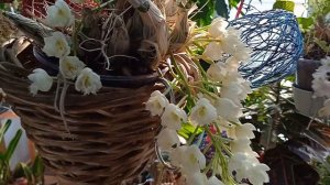 Clowesia Grace Dunn и Rebecca Northen