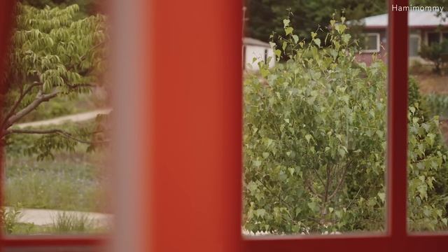 SUB) 여름에도 산뜻하게 주방 살림하는 일상ㅣ주방식기 소독, 예쁜 토마토 요리, 세번째 베이킹 수업ㅣHamimommy Vlog