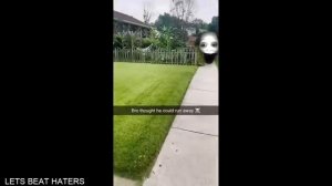 Подборка смешных видео и приколов 120? Лучшие ПРИКОЛЫ 2023