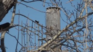 Строительство вышки сотовой связи