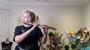 Welcome To The Internet - Bo Burnham - Flute Cover