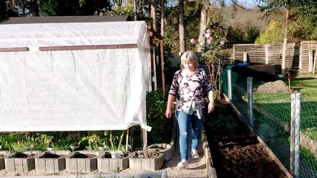 ?Мама адаптировалась! Дача. Садим чеснок и лук на зиму. смотреть онлайн